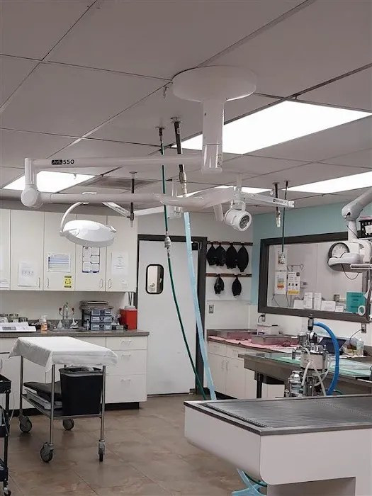 VCA Mesa Animal Hospital Picture 2
