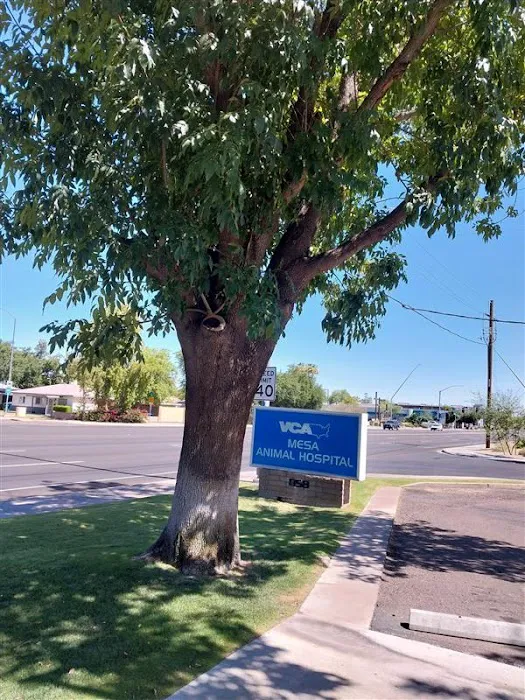 VCA Mesa Animal Hospital Picture 9