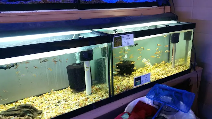 C K Fish World Picture 3