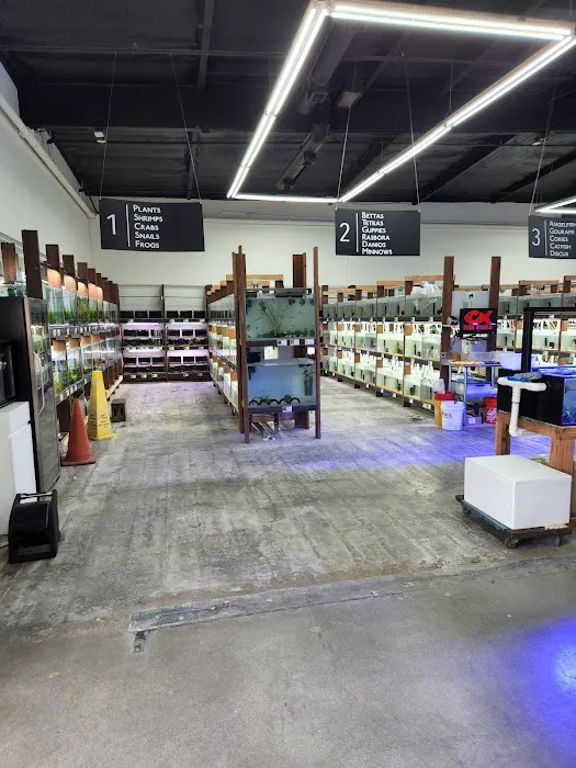 C K Fish World Picture 2