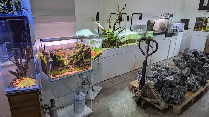 C K Fish World Picture 1