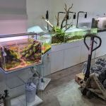 C K Fish World