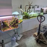 C K Fish World ico