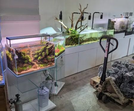 C K Fish World