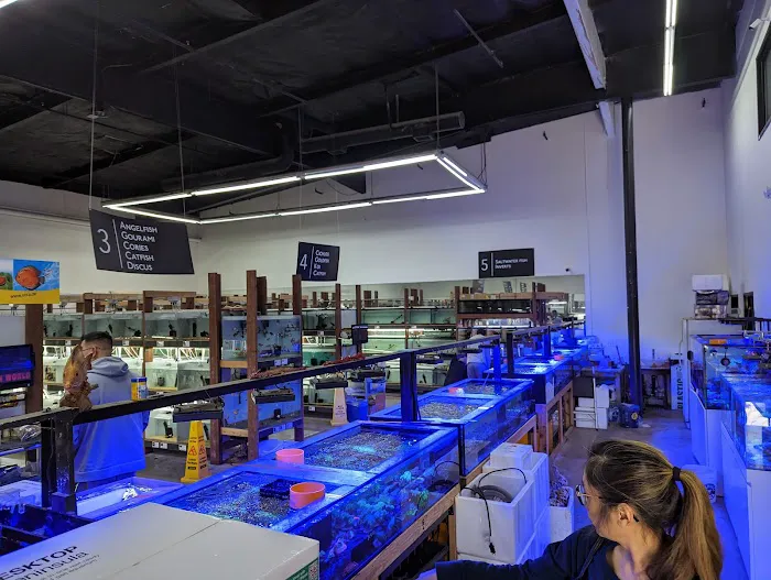 C K Fish World Picture 7