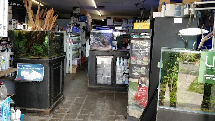C K Fish World Picture 9