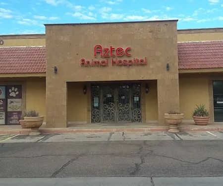101 SPAY & NEUTER OF SCOTTSDALE