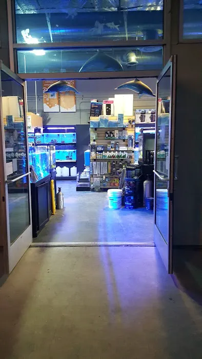 Age of Aquariums Picture 2
