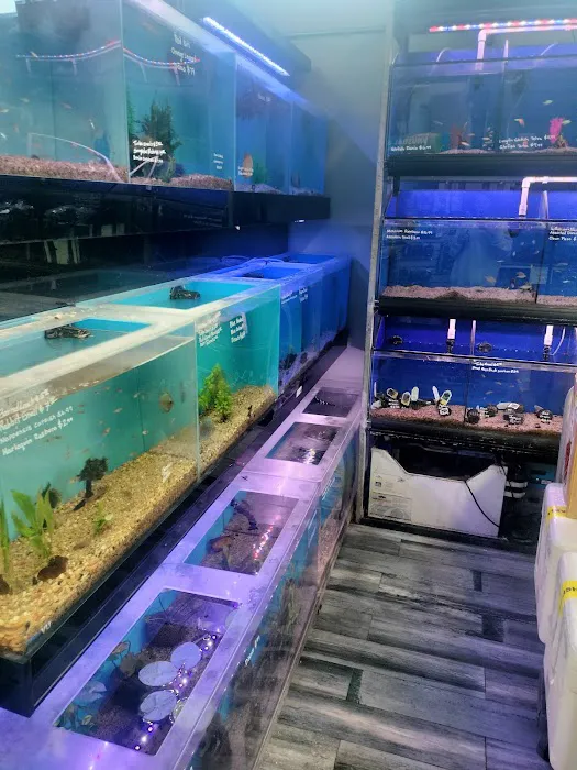 Age of Aquariums Picture 3