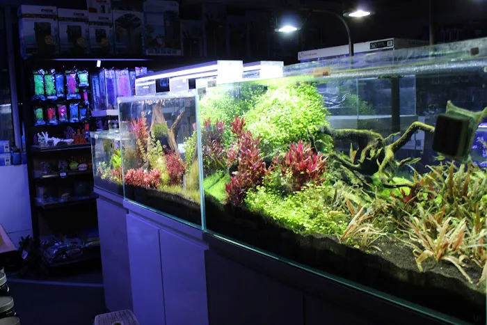 Age of Aquariums Picture 5