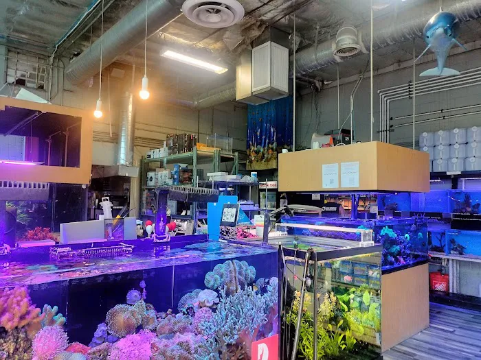 Age of Aquariums Picture 4