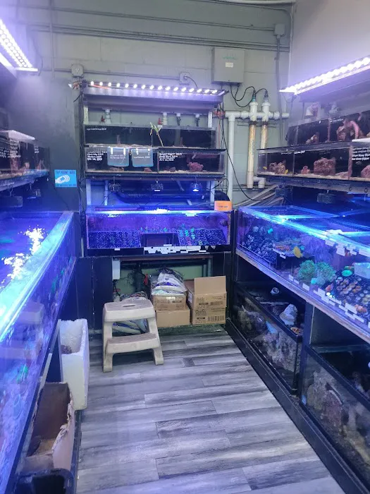 Age of Aquariums Picture 6