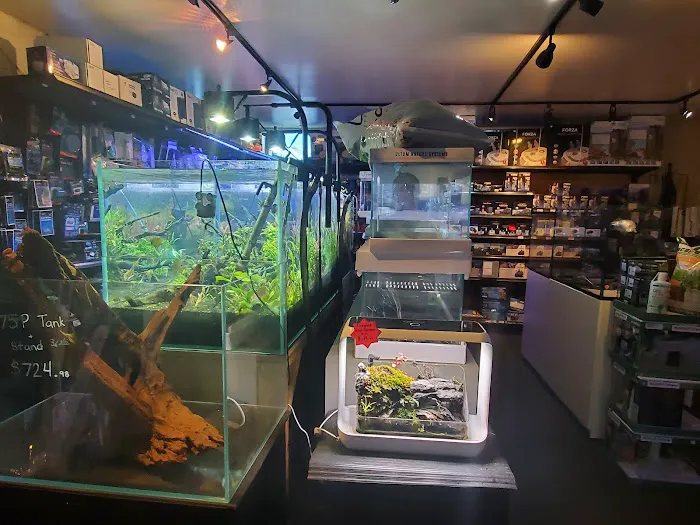 Age of Aquariums Picture 7