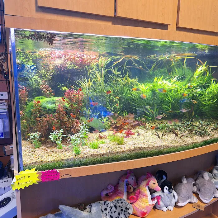 Age of Aquariums Picture 8