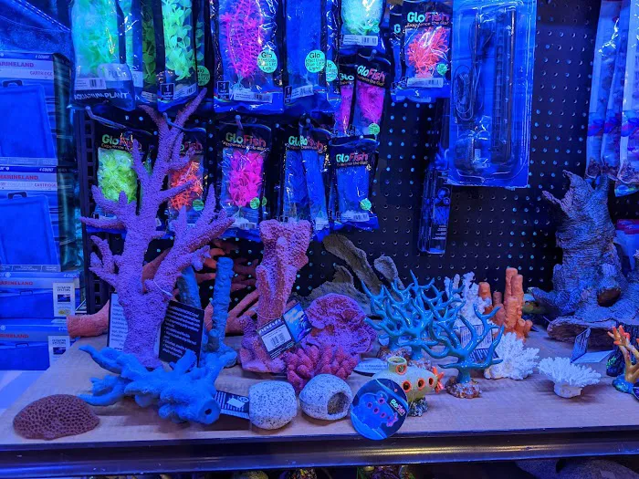 Age of Aquariums Picture 9