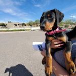 Quartz Mountain Animal Hospital