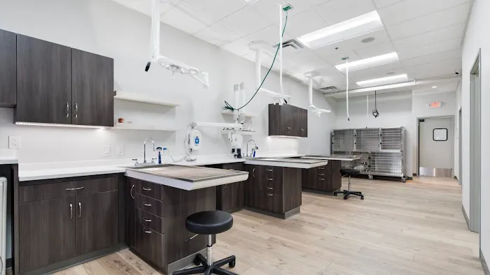Phoenix Mobile Veterinarians and Animal Hospital Picture 10