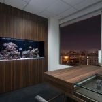 Oceans Aquarium Design