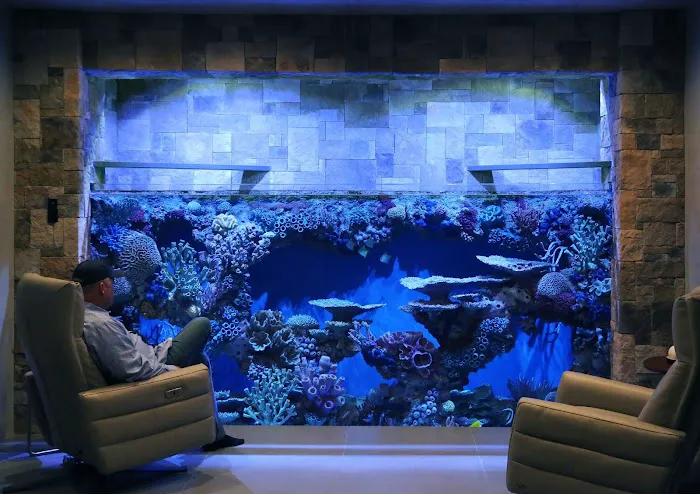 Oceans Aquarium Design Picture 2