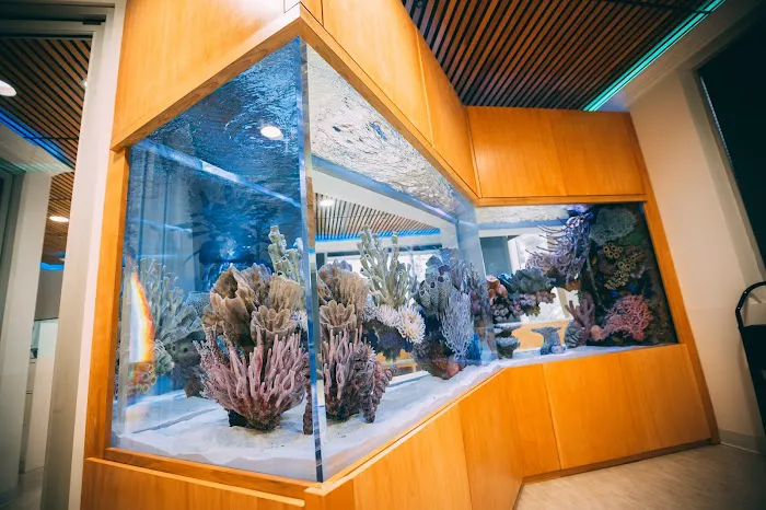 Oceans Aquarium Design Picture 5