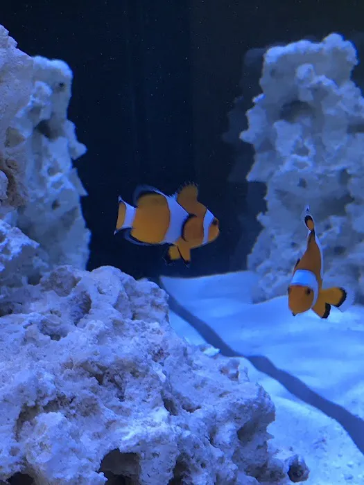Oceans Aquarium Design Picture 7
