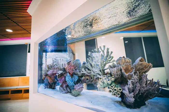 Oceans Aquarium Design Picture 6