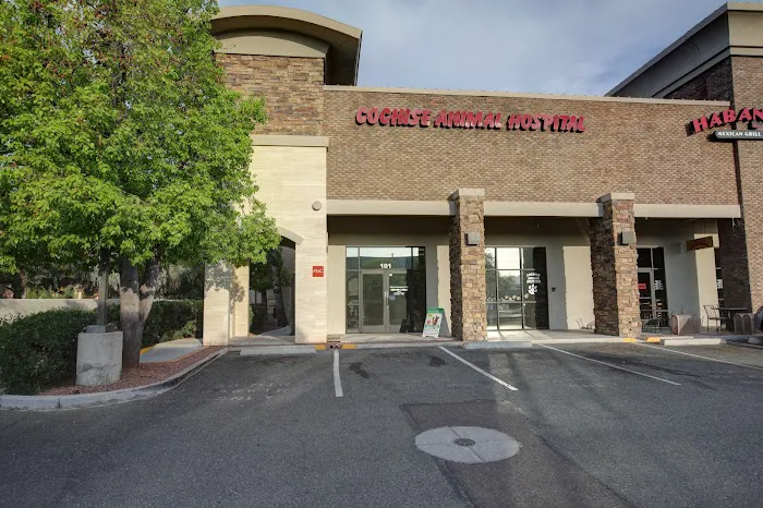 Cochise Animal Hospital Picture 3