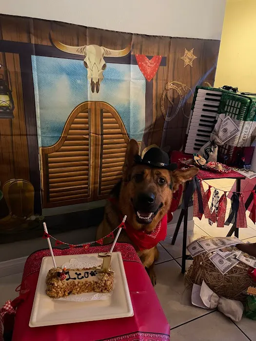 Three Dog Bakery Encino Picture 1