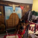 Three Dog Bakery Encino