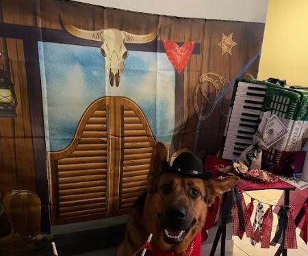 Three Dog Bakery Encino