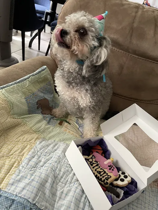Three Dog Bakery Encino Picture 10