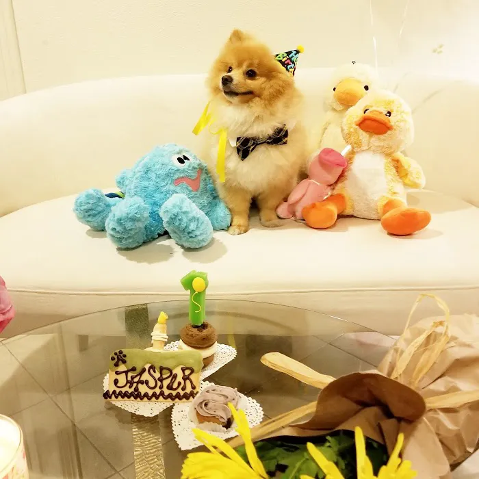 Three Dog Bakery Encino Picture 9