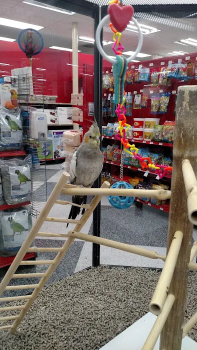 Petco Picture 1
