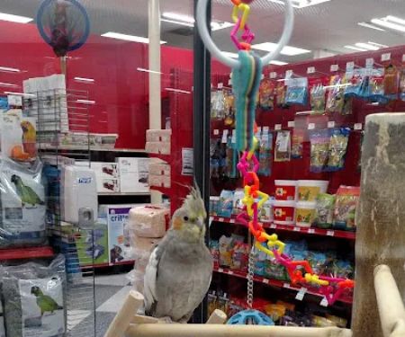 Petco