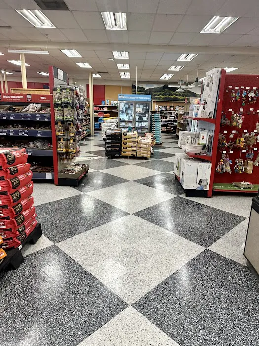 Petco Picture 4