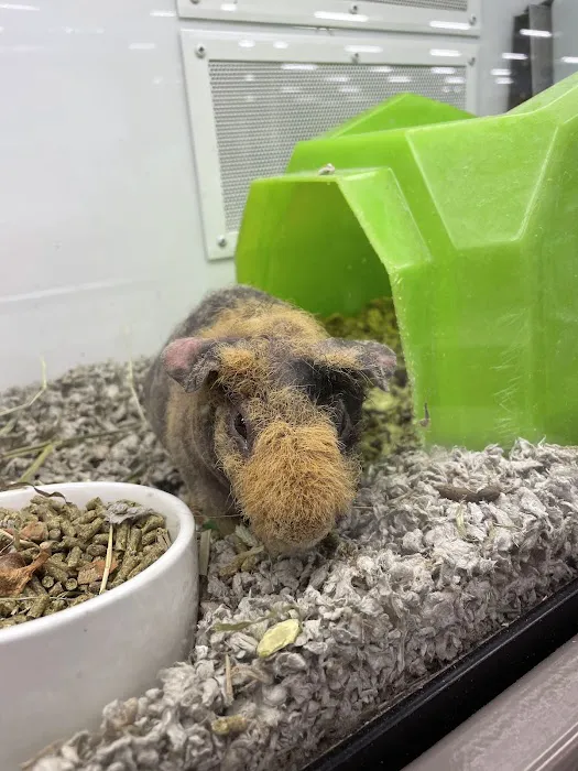 Petco Picture 5