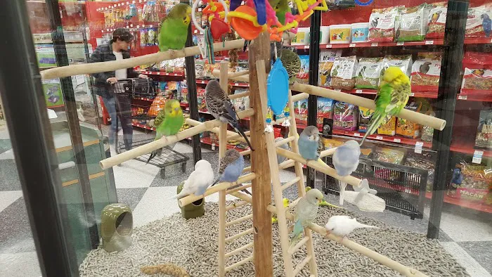Petco Picture 10