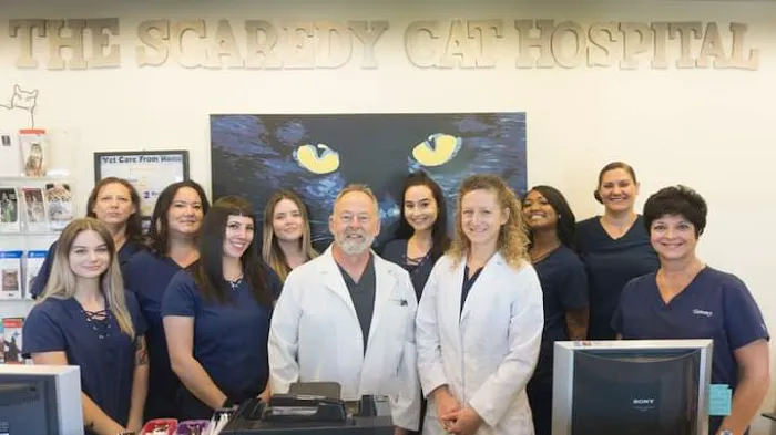 The Scaredy Cat Hospital Picture 1