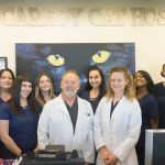 The Scaredy Cat Hospital
