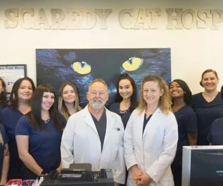 The Scaredy Cat Hospital