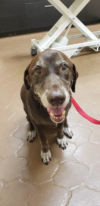Four Peaks Animal Clinic Picture 1