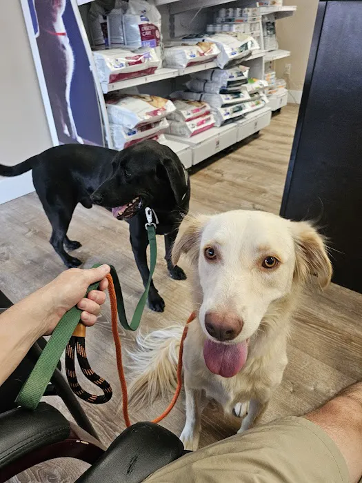 Four Peaks Animal Clinic Picture 9