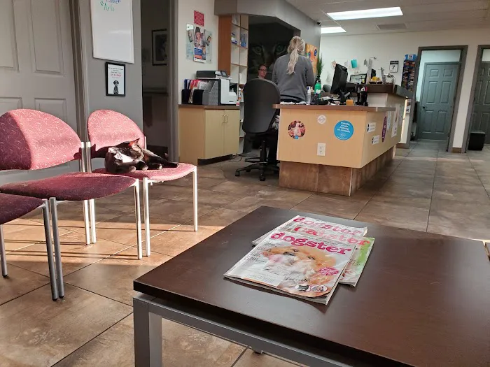 Mccormick Ranch Pet Care Center Picture 1
