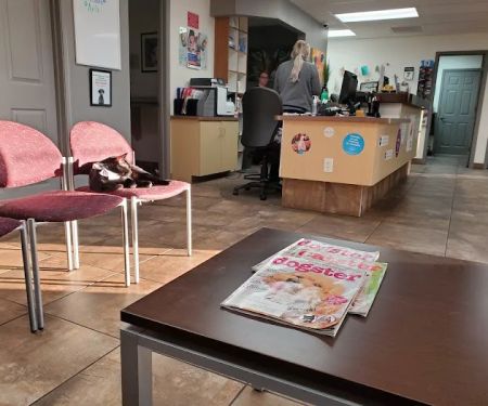 Mccormick Ranch Pet Care Center