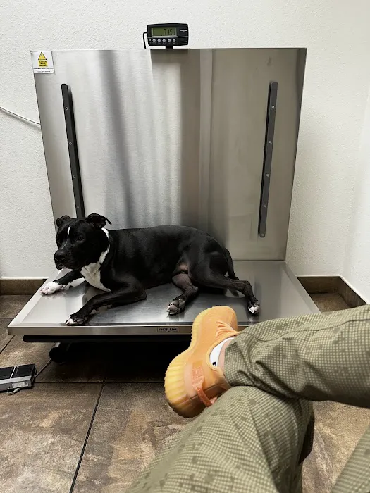 Mccormick Ranch Pet Care Center Picture 5