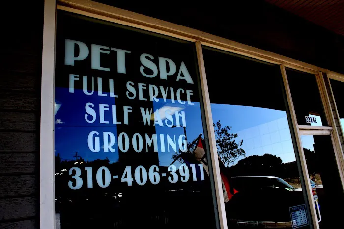 Bubbles Pet Spa Picture 4