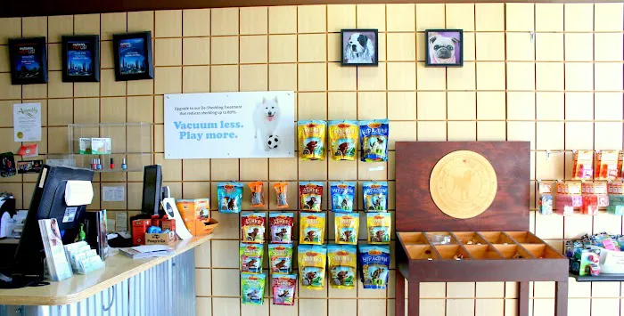 Bubbles Pet Spa Picture 2