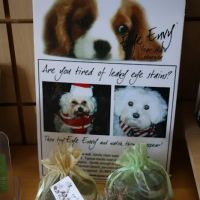 Bubbles Pet Spa ico