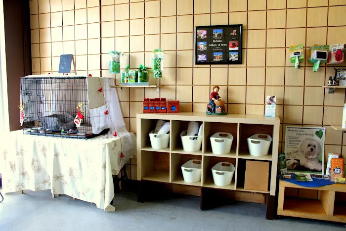 Bubbles Pet Spa Picture 7