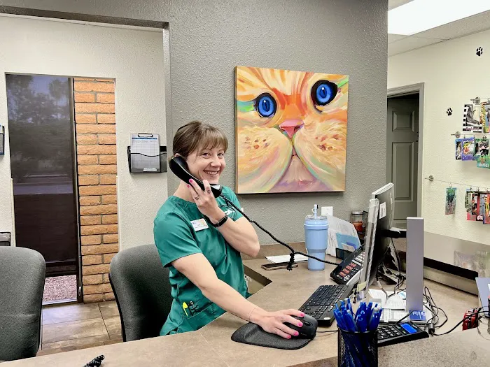 VCA McCormick Ranch Animal Hospital and Emergency Center Picture 3
